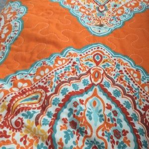 Meet your Posher, Kitty